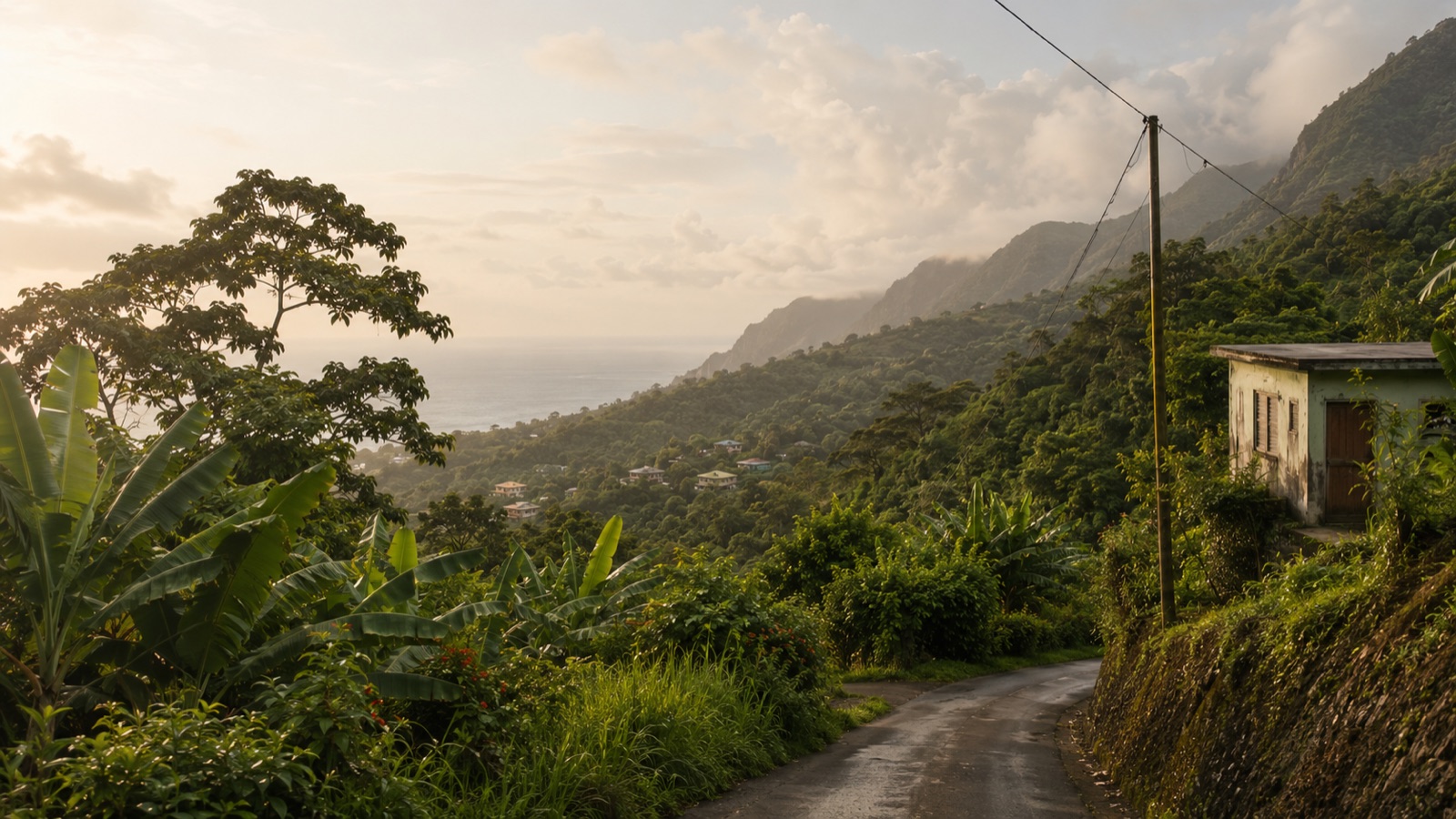 A mountain road above the sea in the Eastern Caribbean, golden evening light